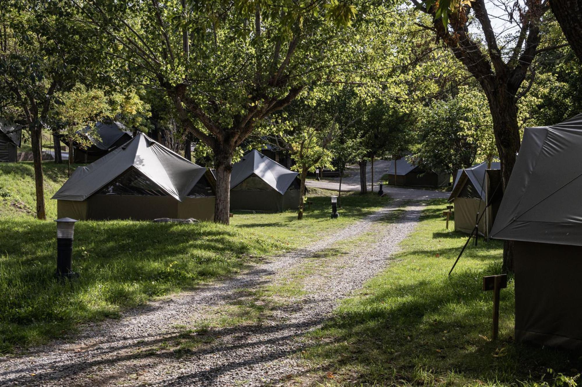 ホテル Basecamps Cerdanya Caixans 部屋 写真