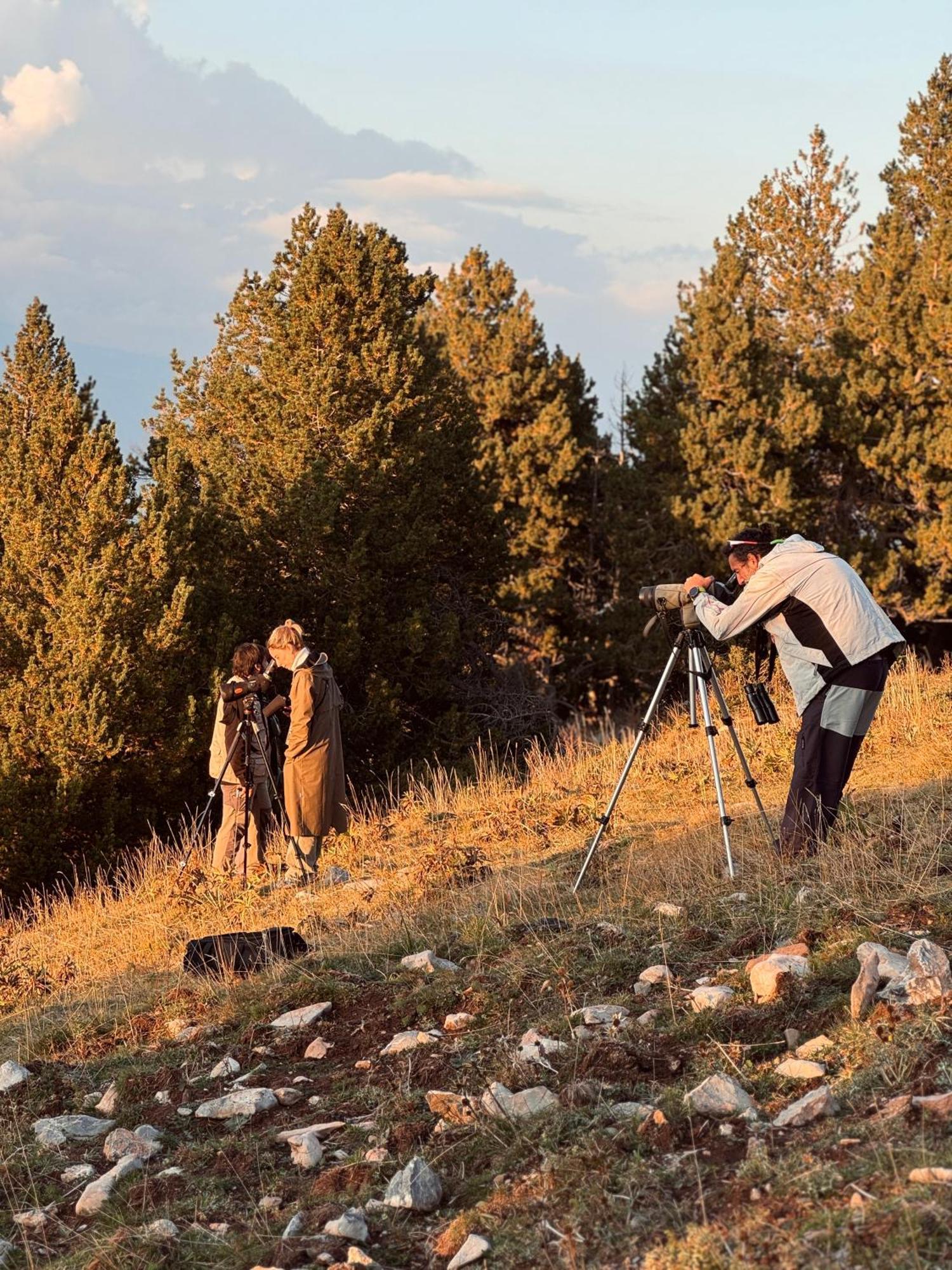 ホテル Basecamps Cerdanya Caixans エクステリア 写真